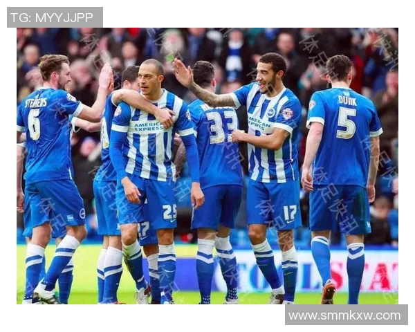 埃弗顿与布莱顿对决分析及比赛前景展望